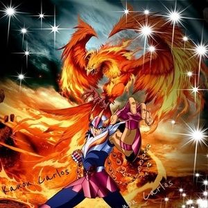 Meet your Posher, Beda